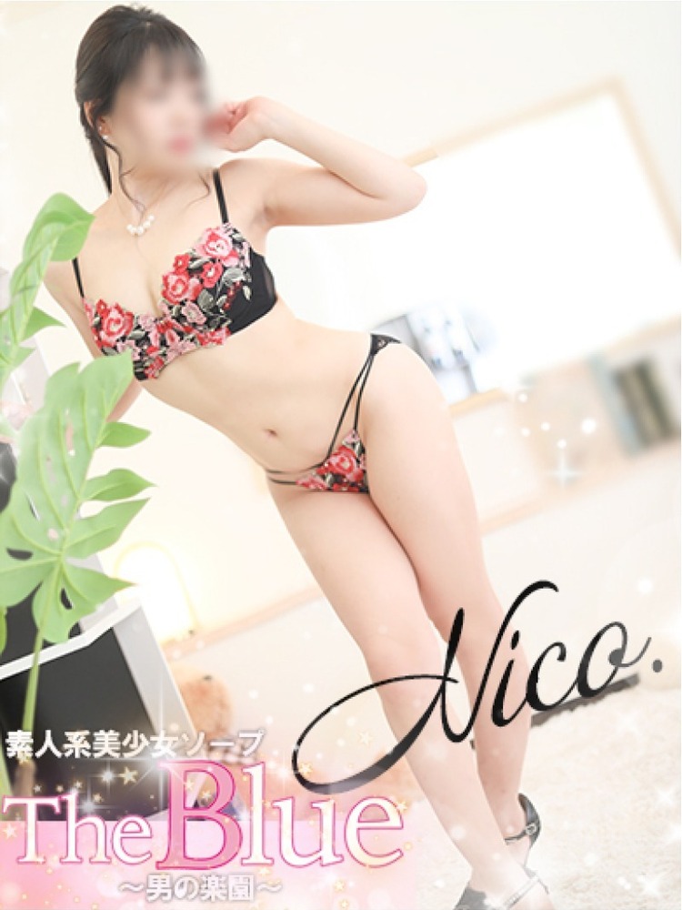 サムネイル3：nico.